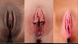 Fotos de tipos de vagina